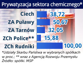 Wezwania mogą przyspieszyć prywatyzację polskiej chemii