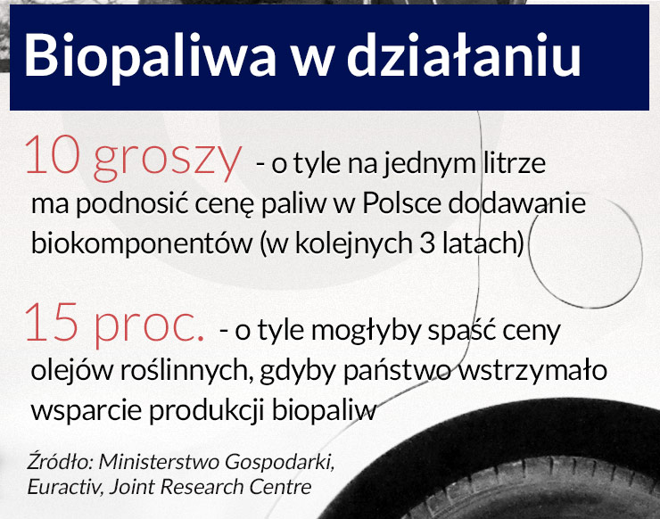 UE ogranicza wsparcie dla biopaliw, Polska nie