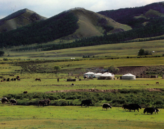 Mongolia. Daleko, ale jeszcze tanio.