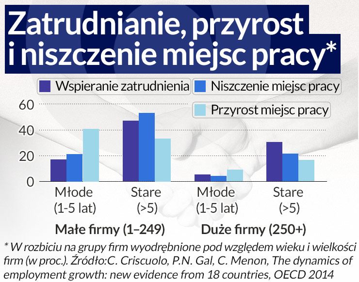 Młode firmy są kruche, ale wzmacniają gospodarkę