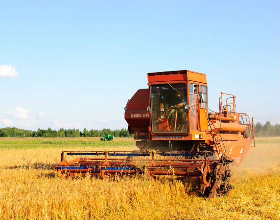 Ukraińskie rolnictwo działa, czekając na cud