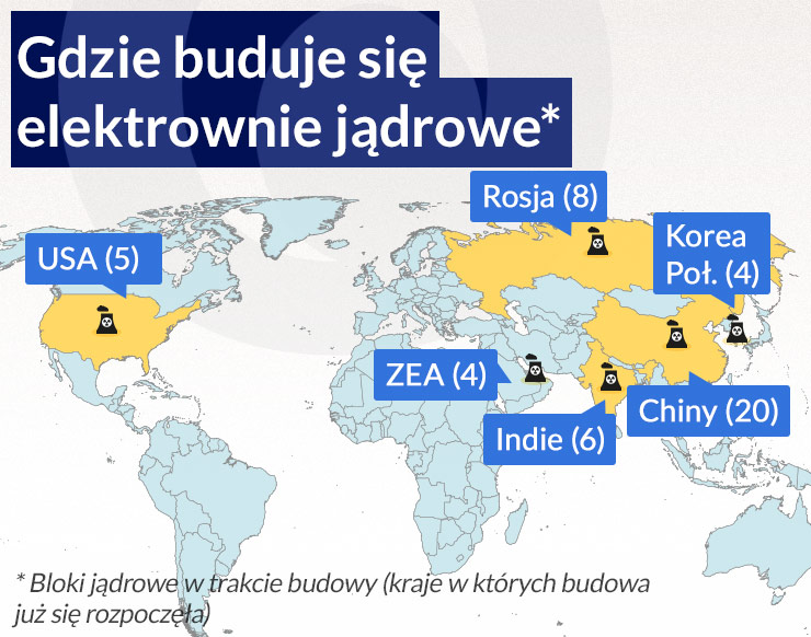 Polska: debiutantka w salonie reaktorów