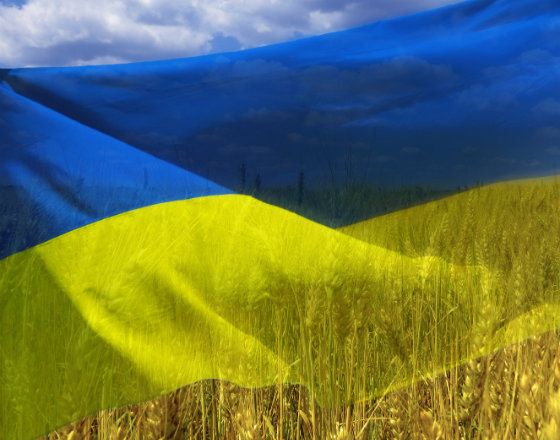 Ukraińska gospodarka szybko zaadaptowała się do wojny