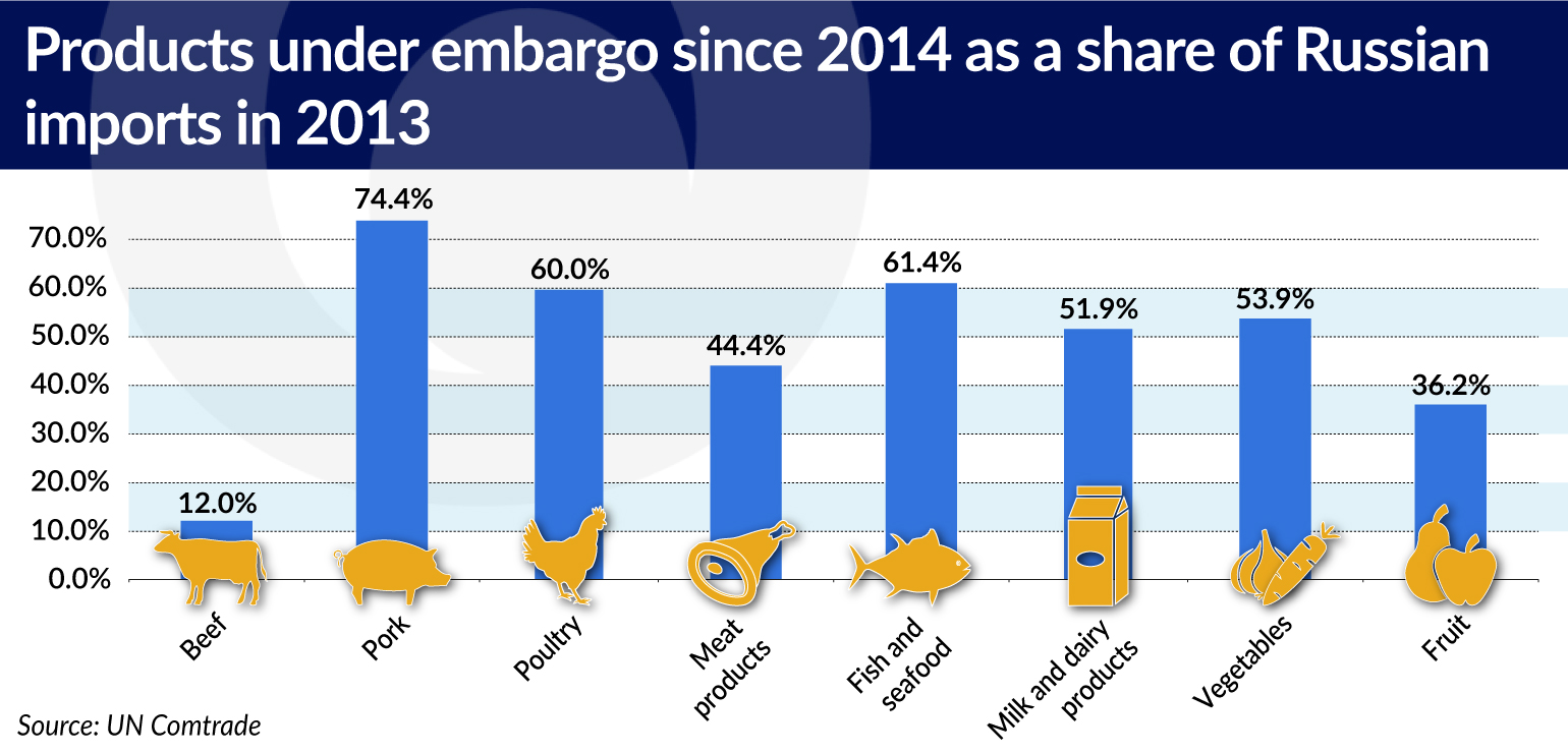 products as share of Russian imports 2013_jamnik