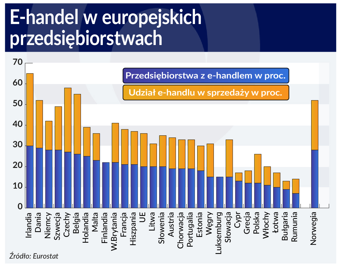 Polskie firmy nie wykorzystują w pełni możliwości internetu