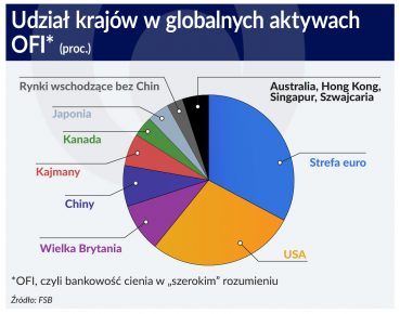 Mapa ryzyka bankowości cienia