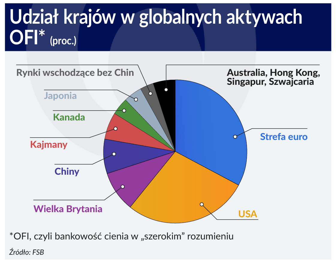 Mapa ryzyka bankowości cienia