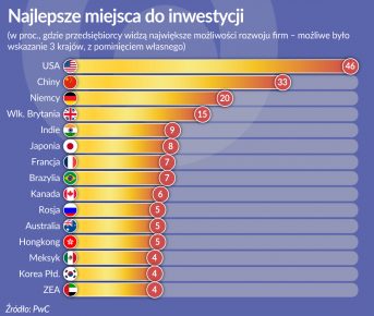 Wielki biznes wybiera wielkie gospodarki