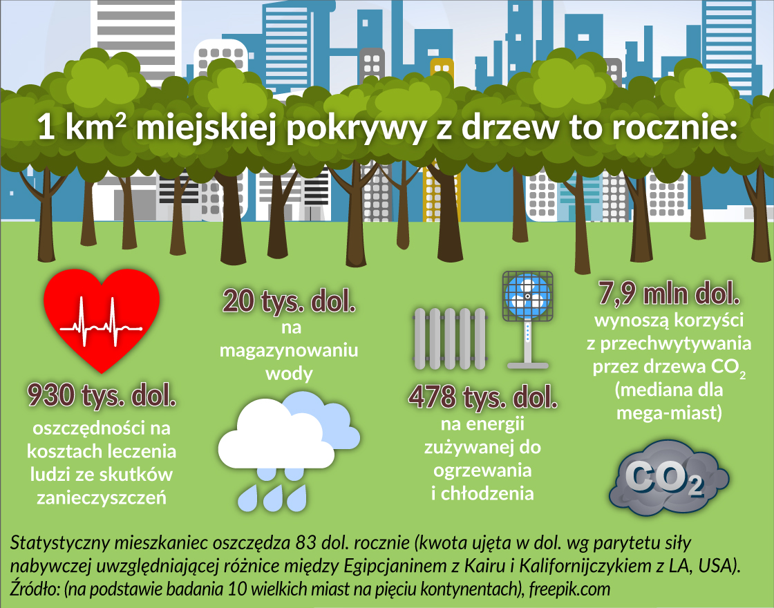 Więcej niż dobry zwrot z inwestycji w drzewa