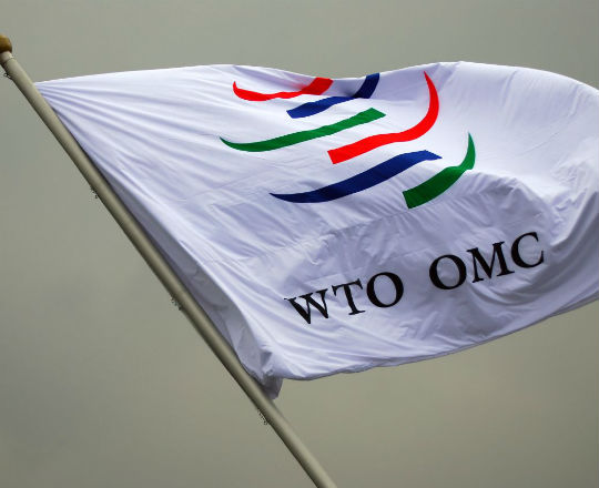 Członkostwo w WTO Ukrainie bardziej szkodzi czy pomaga?