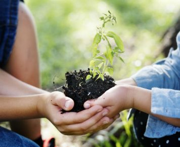 Doświadczenie COVID-19: co przyda nam się w walce ze zmianami klimatu?