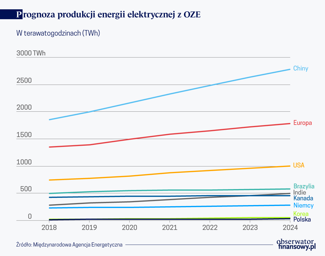 W gniazdku więcej słońca niż wiatru