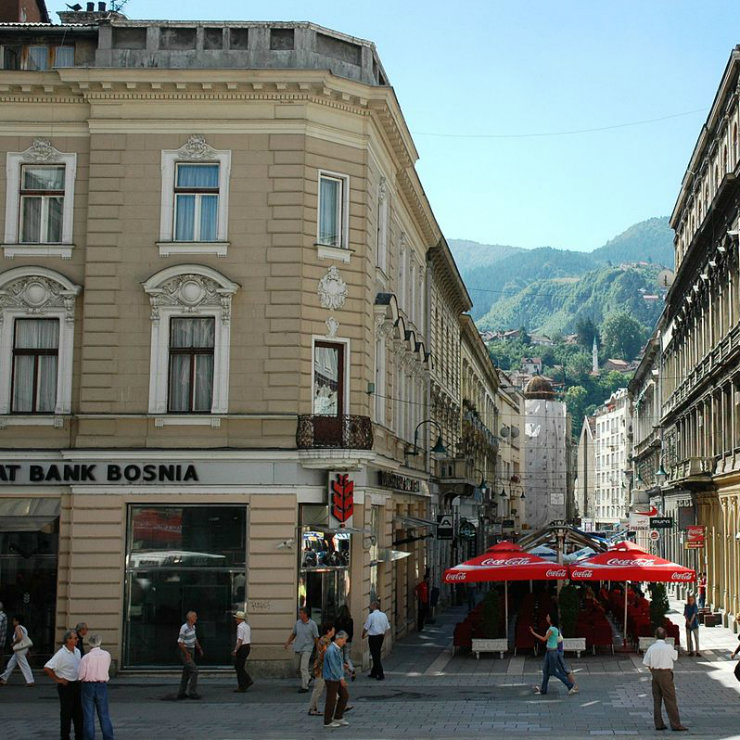 Fluctuations of the Bosnian banking sector