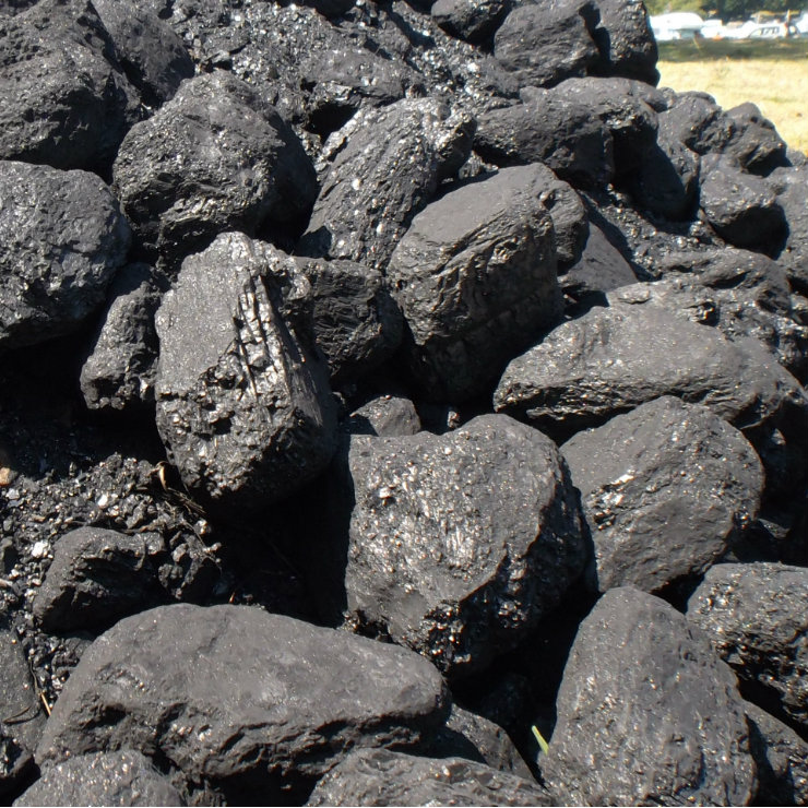The government condemns Ukraine to buy coal from the occupier