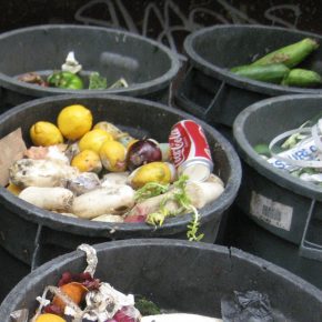 Food waste in Poland high compared to other EU countries