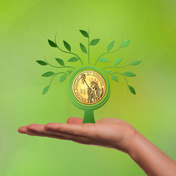 The green finance revolution