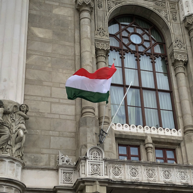 Economic traits of the Hungarian eastern opening policy