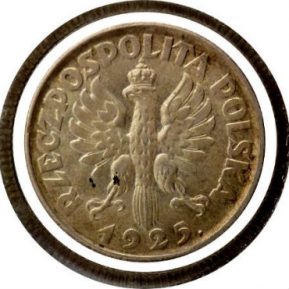 Building the strength of the Polish zloty