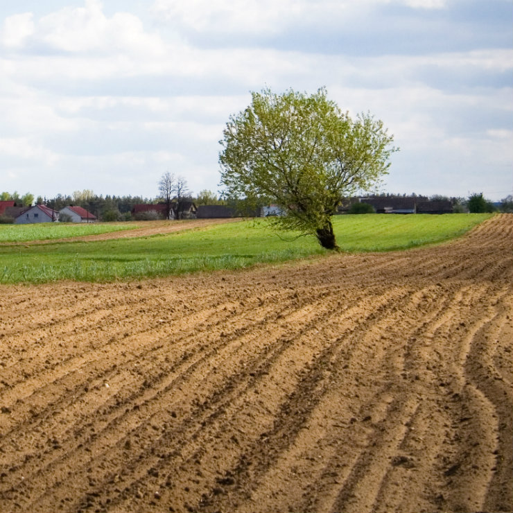 Arable land in Europe is becoming increasingly expensive