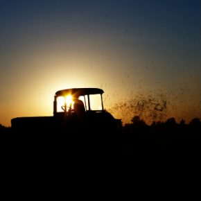 Farmers in Poland are not favorized