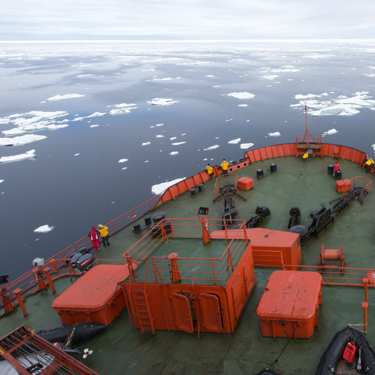 All eyes on the Arctic