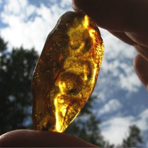 Ukrainian amber is a problem, but it could be an opportunity