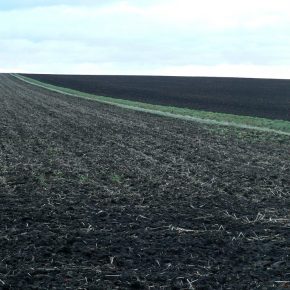 Ukraine will lift the ban on agricultural land trade
