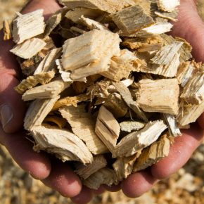 German-Lithuanian Group looks to expand into biomass