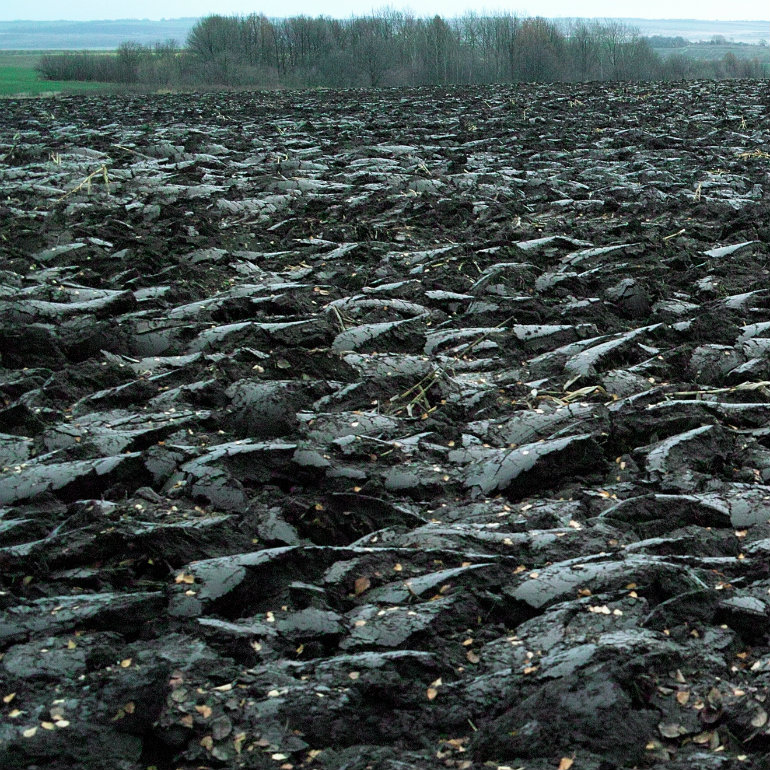 Queuing for Ukrainian agricultural land