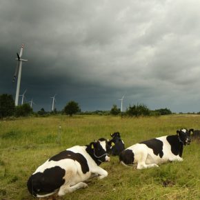 Not all hot air: Poland embarks on wind power auctioning system