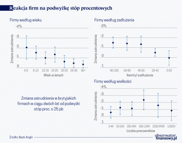 Młode i zadłużone firmy najwrażliwsze na podwyżki stóp