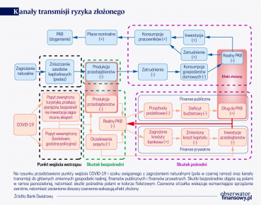 Zarządzanie ryzykiem finansowym: pandemia i klimat