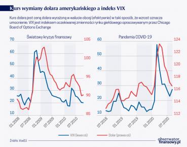 Dominacja dolara a dostosowanie do ryzyka globalnego