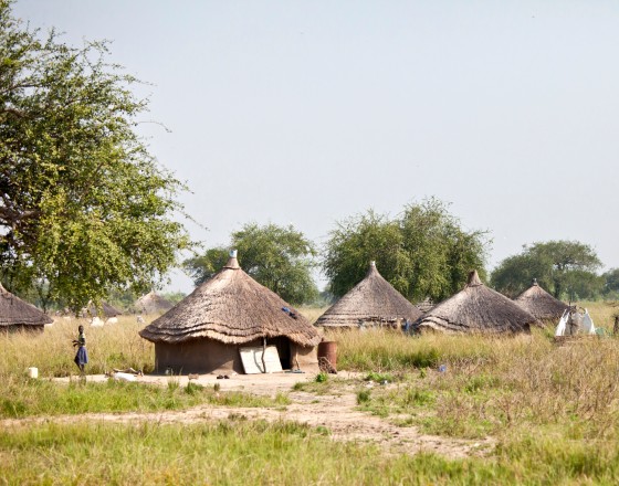 Great Green Wall w Afryce