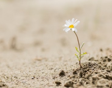 Wody coraz mniej, ale lepiej można ją wykorzystać
