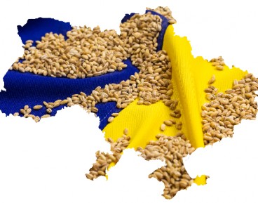 Ukraińskie rolnictwo wychodzi z wojny obronną ręką