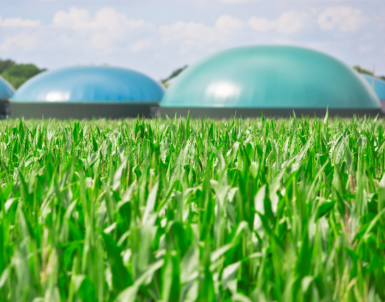 Biogaz i biometan źródłem zielonej bioenergii