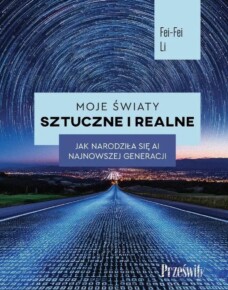 Trzecie spojrzenie na AI – poszukiwanie rozwiązań