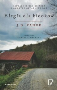 J.D. Vance – zmiany, które zaproponuje nowy wiceprezydent USA