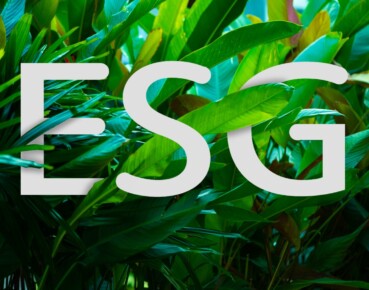 Ryzyko ESG w sektorze bankowym: wyzwania a rzeczywistość